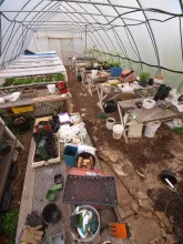 Happy plants, with heated tables on left.